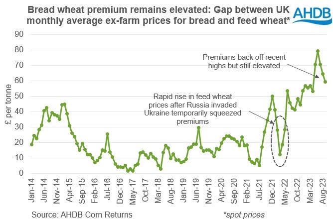 Chart showing the gap between UK ex-farm bread milling wheat prices and feed wheat prices
